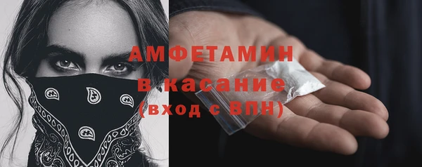 PSILOCYBIN Алзамай