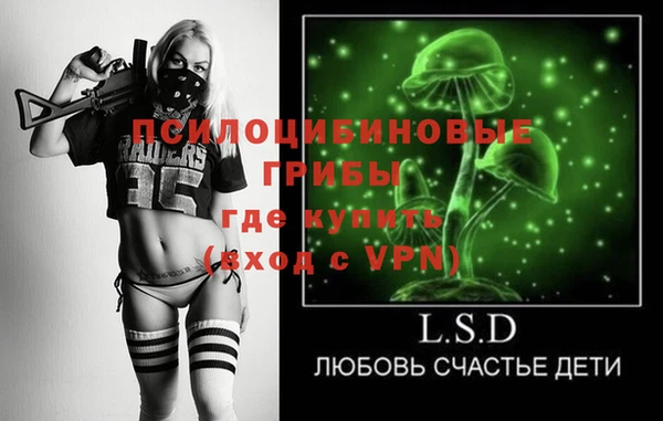 мет Алексин