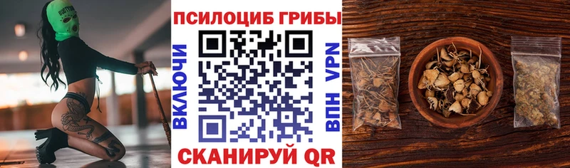 магазин  наркотиков  Красавино  Галлюциногенные грибы Magic Shrooms 